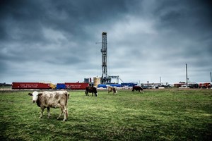 oil rig in a Texas cow field