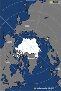 Fig. 1. Arctic sea ice extent for Aug. 14, 2019 is compared to the 1981-to-2010 average extent for that day, shown by the orange line. Image: National Snow &amp; Ice Data Center.
