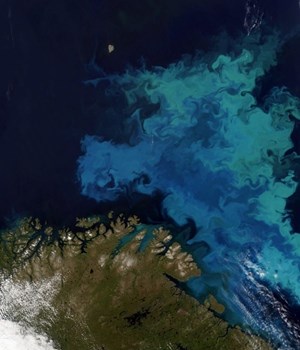 Satellite image of part of the Barents Sea (courtesy of CGG; MODIS data courtesy of NASA).