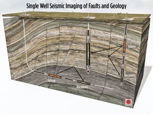 Fig. 2. Paulsson’s new source and receiver seismic technology can be employed in either vertical or horizontal wells.