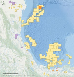 Fig. 4. Mexico E&amp;P contracts included 28 deepwater and 32 shallow-water parcels. Map: NHC.