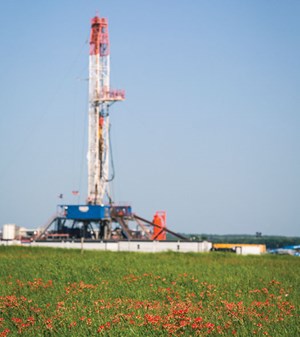 As flowers flourish in the foreground, newly restructured Chesapeake Energy is running a single rig in the Eagle Ford, where the near-term future of the Brazos Valley asset remains uncertain. Image: Chesapeake Energy Corp.