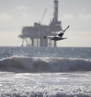 a seagull flying in front of an offshore oil production platform