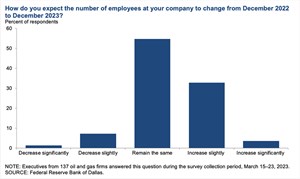 Fig. 5. Special Question on how the number of employees at a company will change from December 2022 to December 2023.