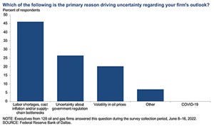 Fig. 2. Special Question on reasons behind uncertainty driving firms’ outlooks.