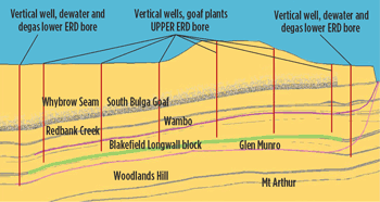 Fig. 2. Vertical and horizontal well goaf gas drainage schematic  